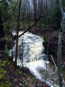 Jackson Falls Waterfall