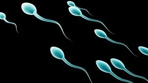 Keith Raniere teaches that the offering of his sperm on a woman makes her his slave.