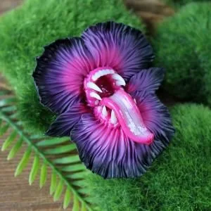 flowers 2