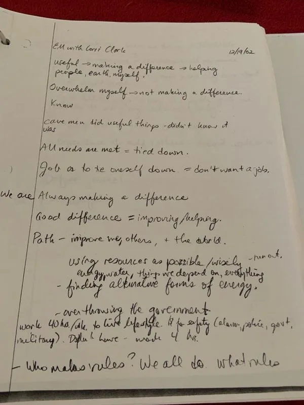 snyder diary 12