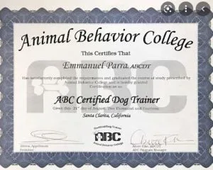 Lauren worked like a dog to get various certificates.