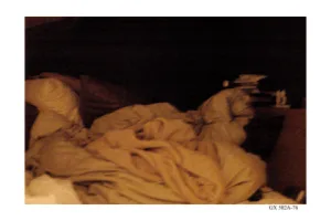 8 hale bed