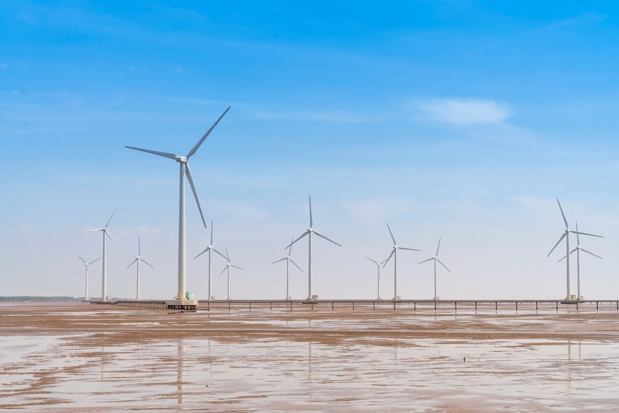 Interview: Ishita Jain on IMM and the Clean Energy Transition&nbsp;