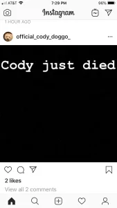 Ambrose Cody dog dead Chris negligence