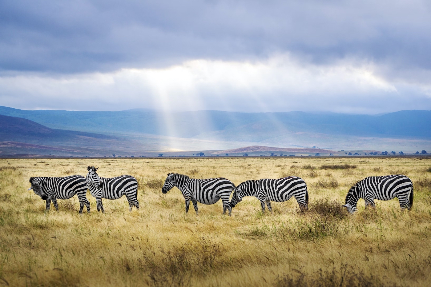 What Are The Requirements For A Tourist EVisa?
