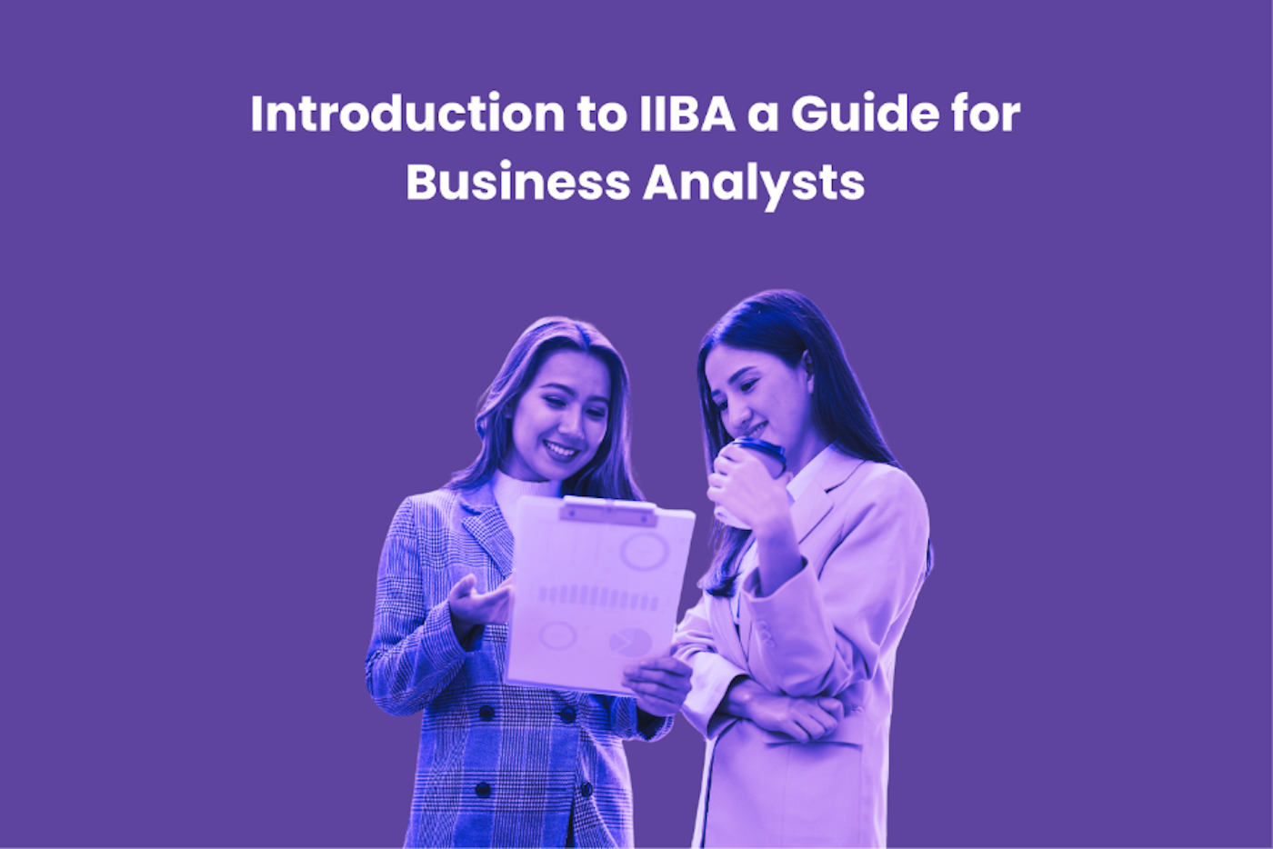 Introduction to IIBA a Guide for Business Analysts