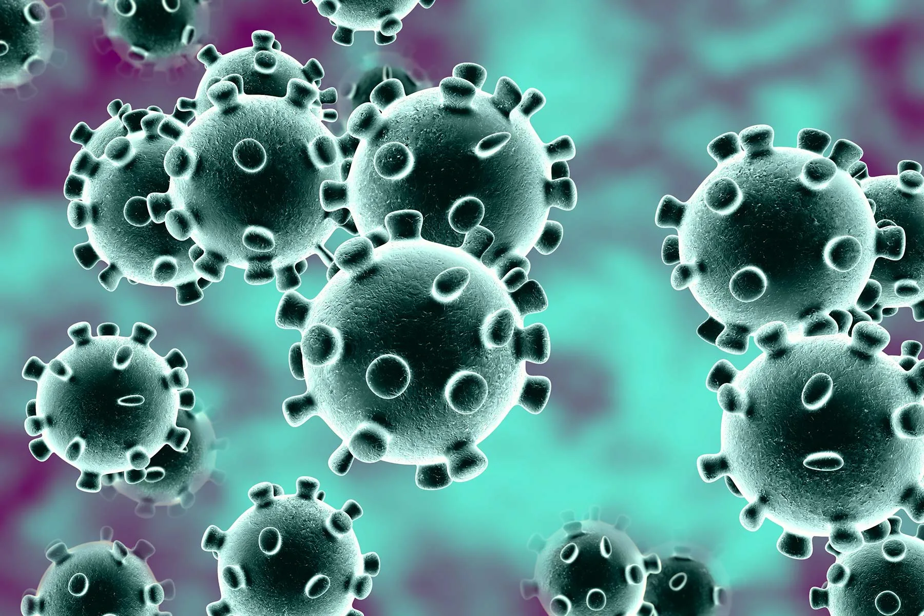 Coronavirus Shuts Down All Federal Prison Visitation for the Next 30 Days