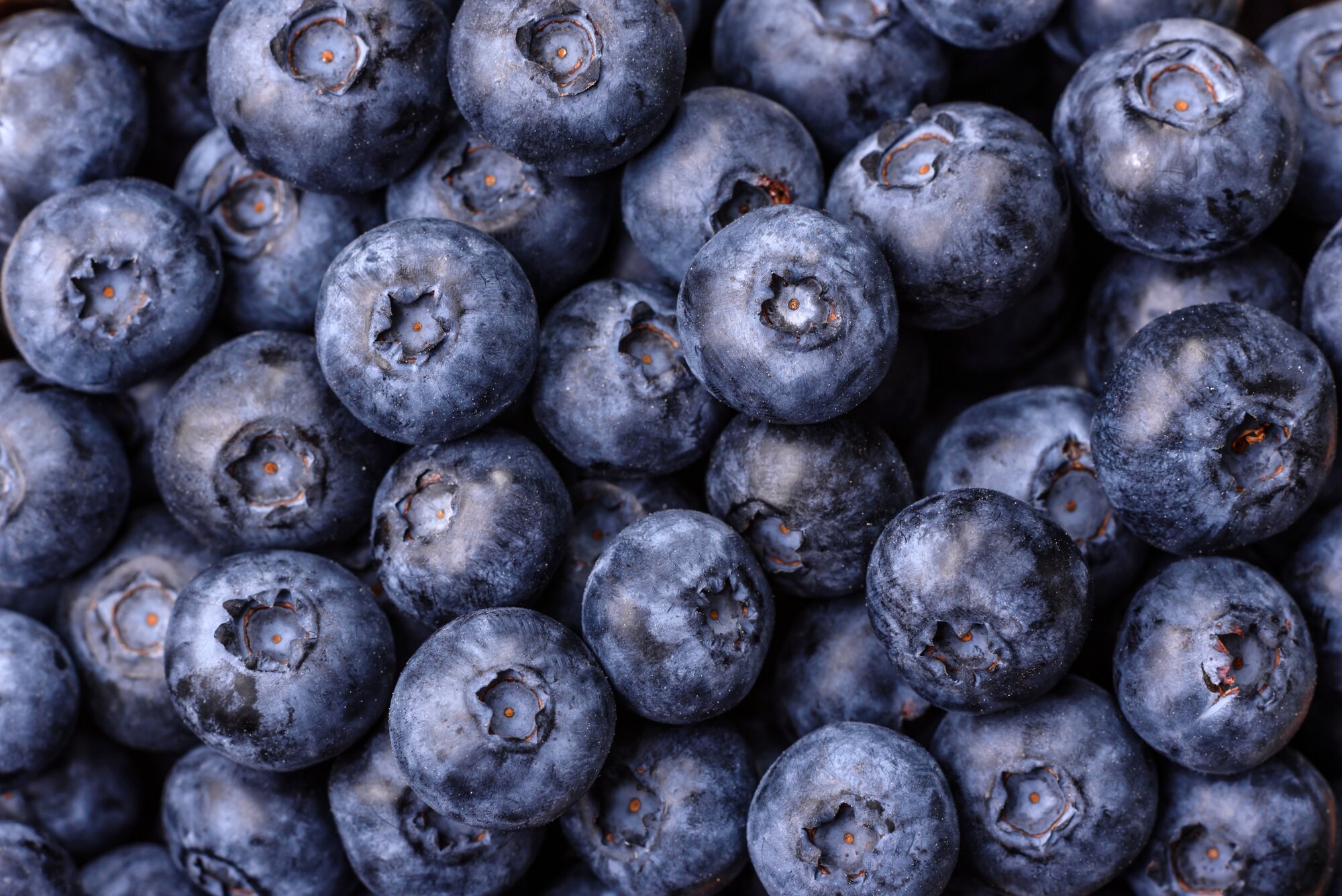 Blueberry Recall Upgraded To Highest Risk By FDA