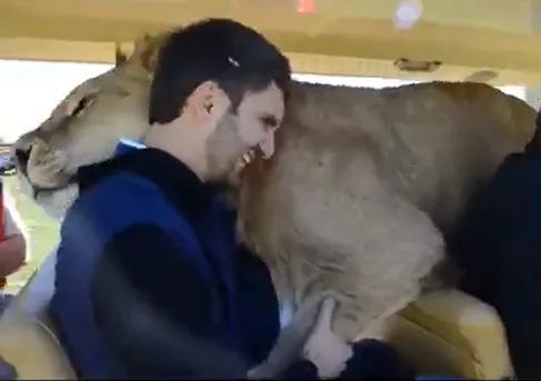 Lions Can Be Trained to Be Safe and Affectionate With People; Could Raniere Be so Trained?