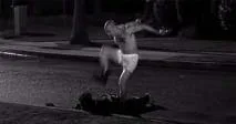 Scene from American History X where Nazi stomps on an African-American.