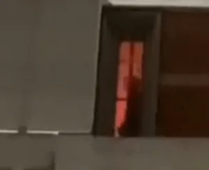 dance masturbator 5