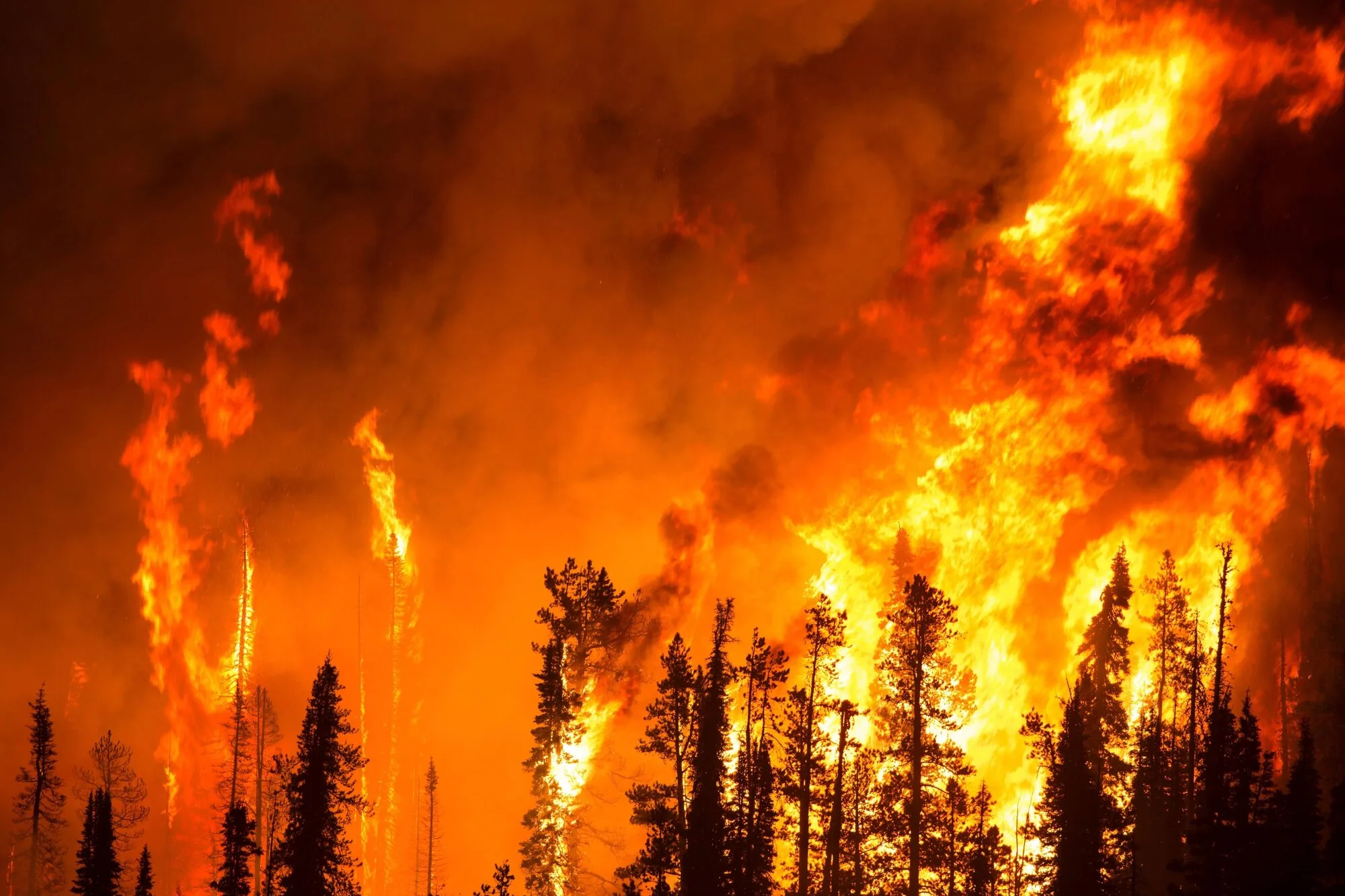 Fire Has Burned Nearly 350 Acres In San Diego County