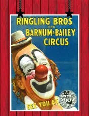 circus clown 9