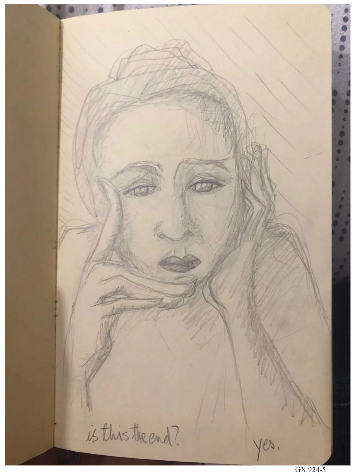 Dani’s Magnificent, Sad Artwork Drawn While Confined in Room