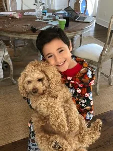 ambrose sawyer cody dog