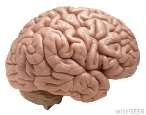 Keith Raniere said he is the smartest man in the world. His brain is so powerful it set off radar detectors.