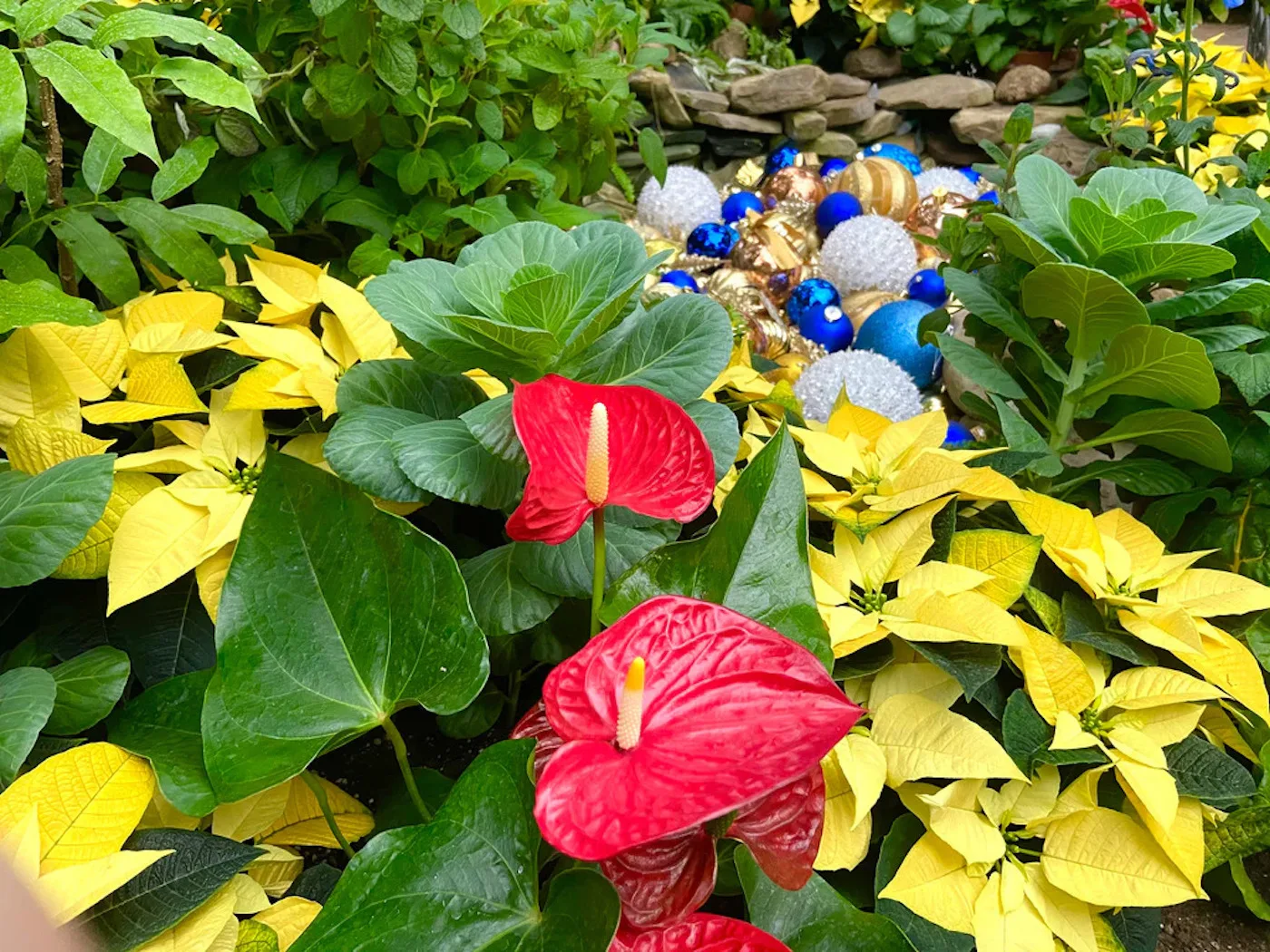 Magical Winter Fun at the Botanical Gardens