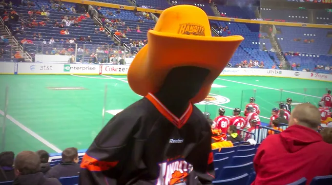Buffalo Bandits and Saskatchewan Rush  Best Match Up For The Championship