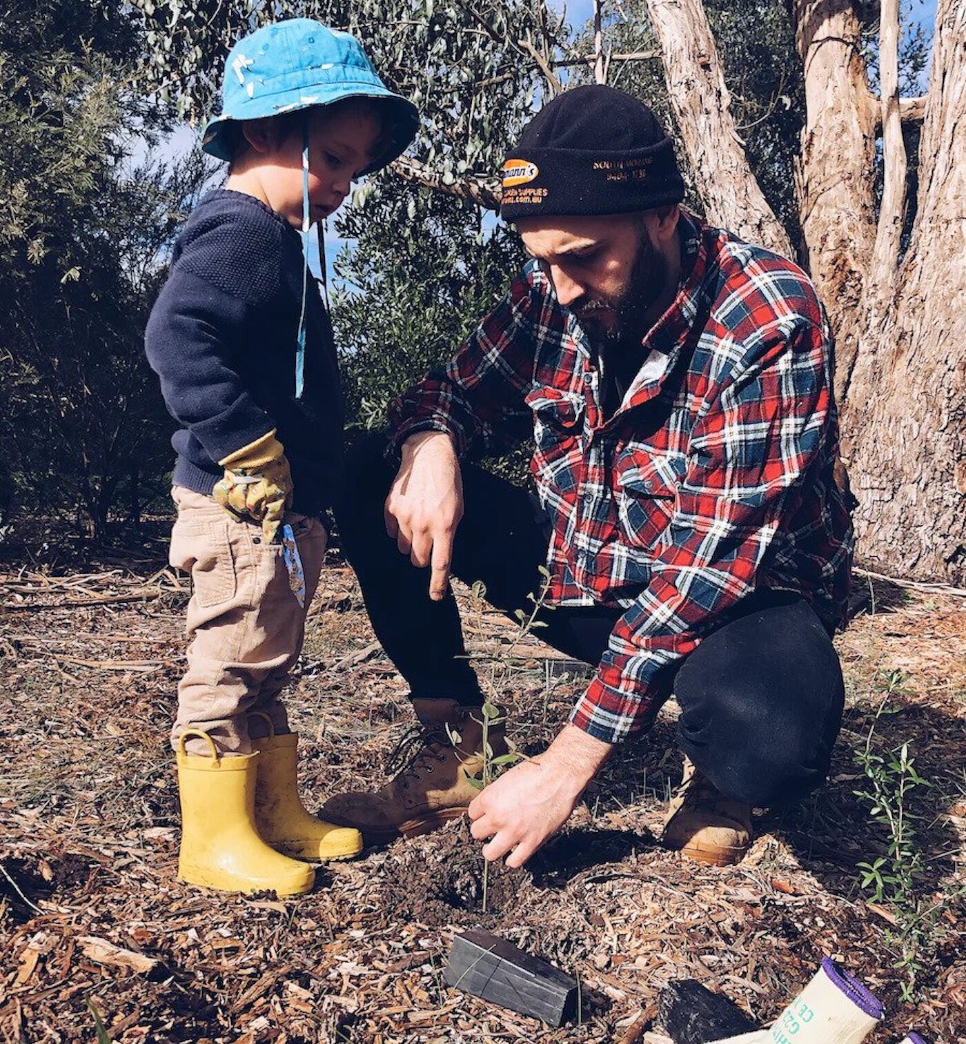 Free tree planting workshop on 10/28 and Re-Tree volunteer planting on Nov 4th in Buffalo