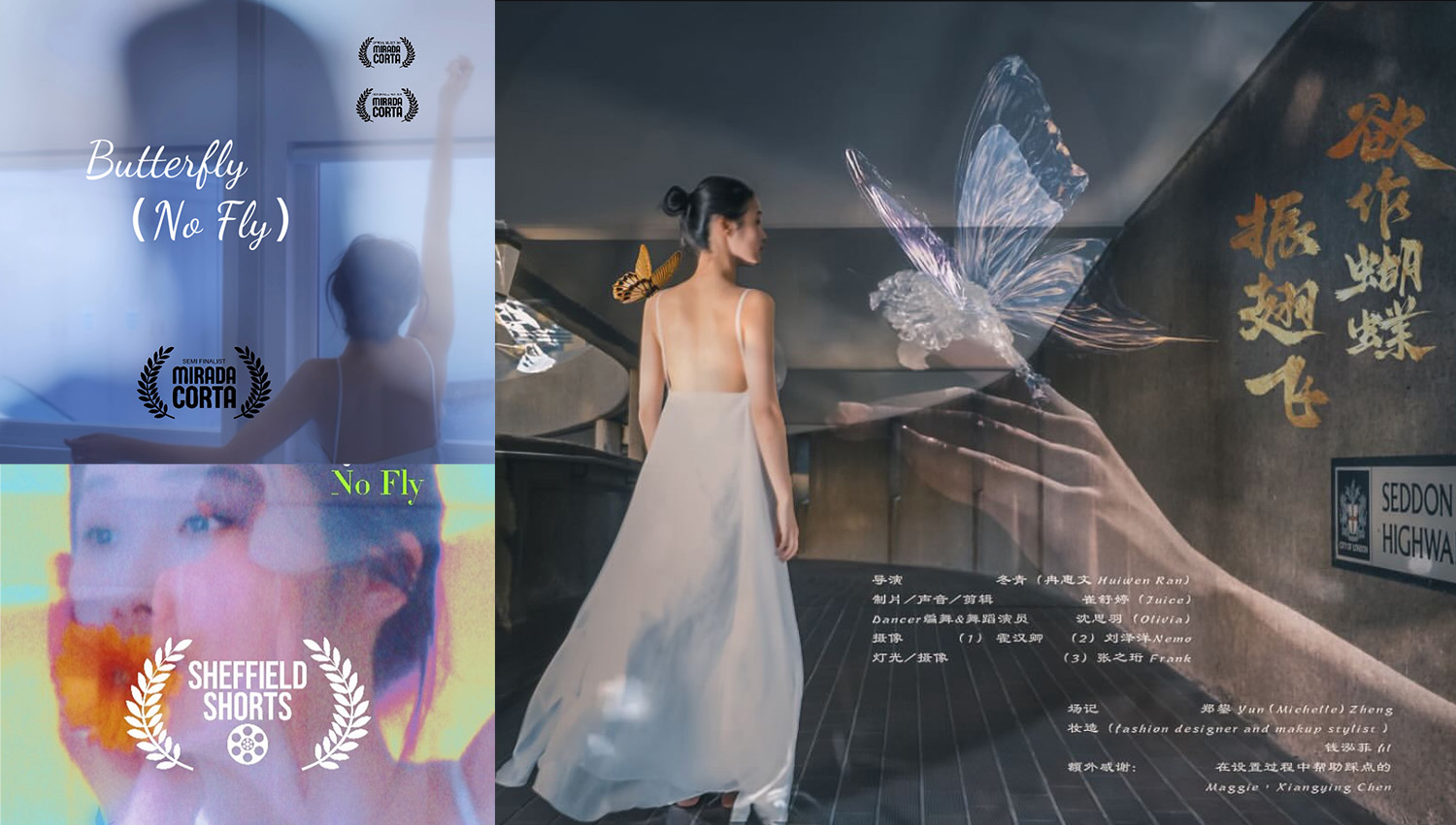 Butterﬂy (NoFly): Liminal Bodies, Unstable Selves
