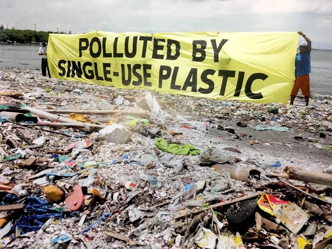 How Everyone Can take Care of the Global Ecology right now