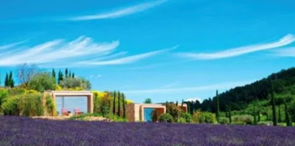 sara bronfman provence 1
