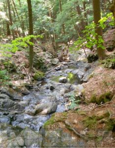 A tumbling brook at Silver Bay might seem like a natural spot to be marked by the Vanguard.