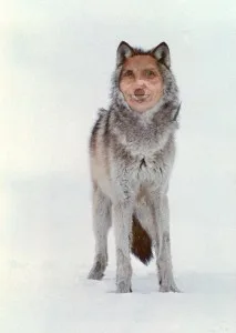 Jocelyn 'Wolf' Hurwitz