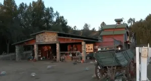 The ranch after HiCaliber was evicted. Michelle Knuttila's attorney said they would have remediated the property had they not been evicted.
