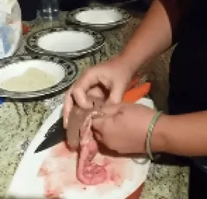 Michelle Knuttila preparing the testicles of a horse she had castrated by a veterinarian.