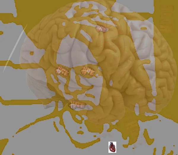 Large brain, small heart.
