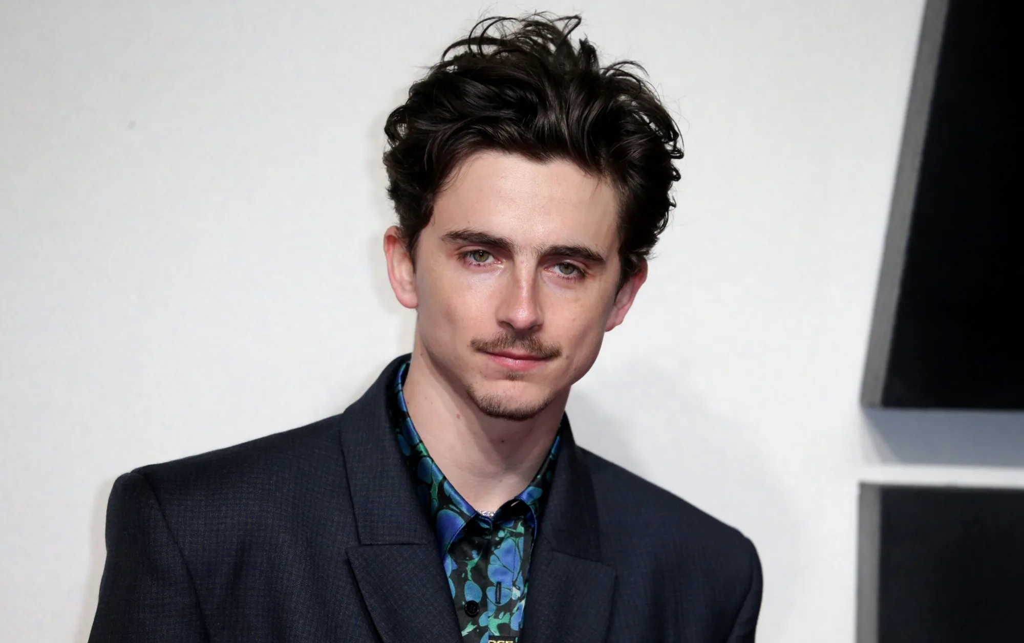 Timothée Chalamet’s Opera Remarks Set Off A Firestorm And The Performing Arts World Is Coming For Him