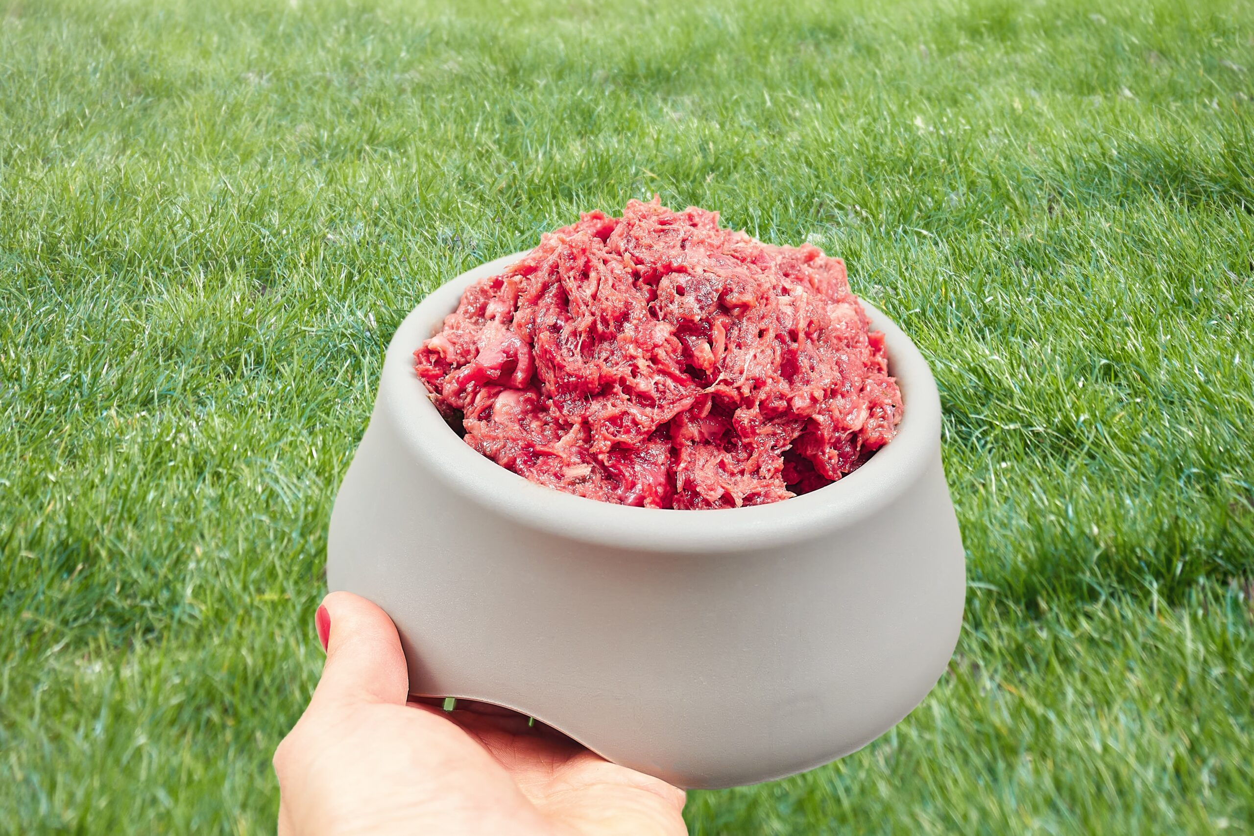 Albright’s Raw Pet Food Recall Hits Chicken Dog Food Over Salmonella