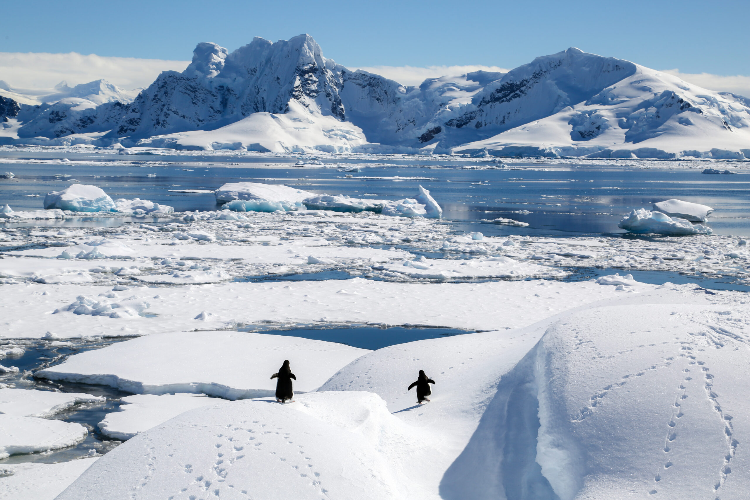 Southern Ocean Scientists Mapped Antarctic Ice In A Way That Has Never Been Done