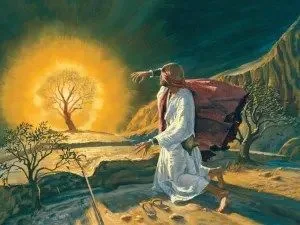 Moses saw something in a burning bush and we have only his word for what it was.