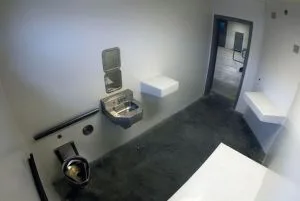Typical SHU cell in the BOP