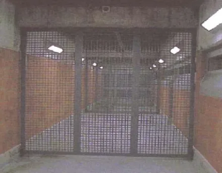 UPDATED INFORMATION AS OF JANUARY 7th: Raniere Moved Out of MDC – in Route to Another Prison, Possibly Tucson
