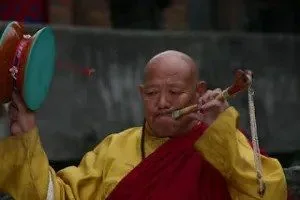 wangdu 1