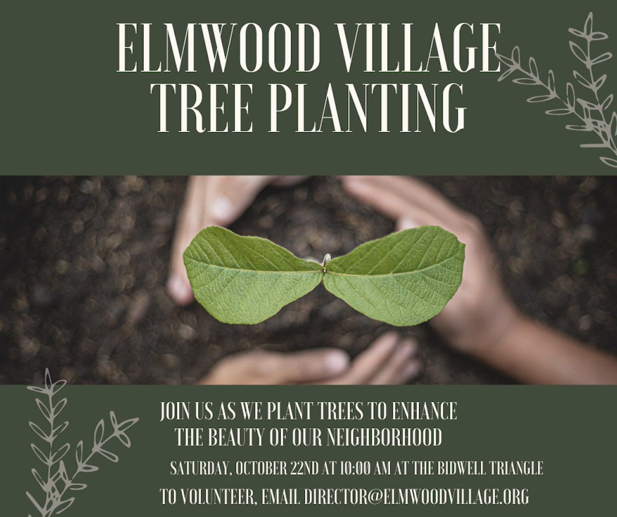 Tree planting this Saturday on Elmwood Ave.