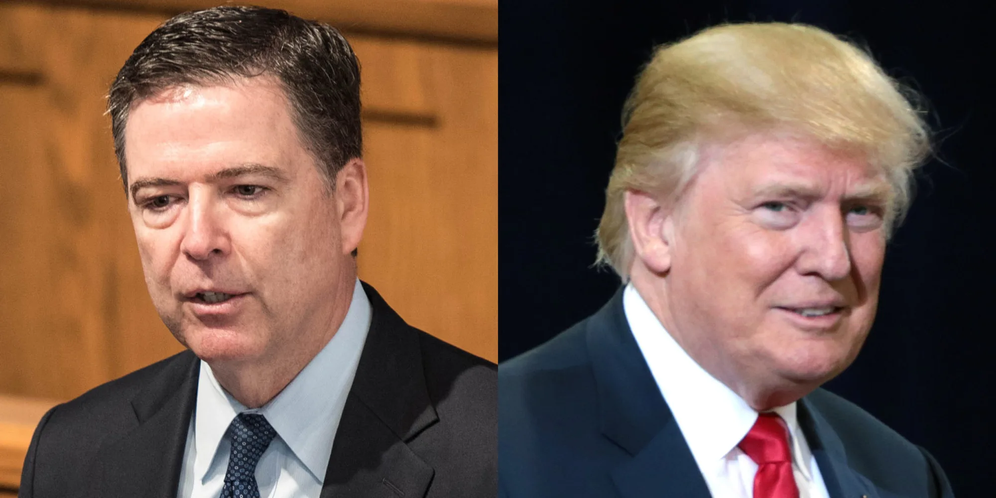 President has authority to examine facts surrounding FISA warrants & take action