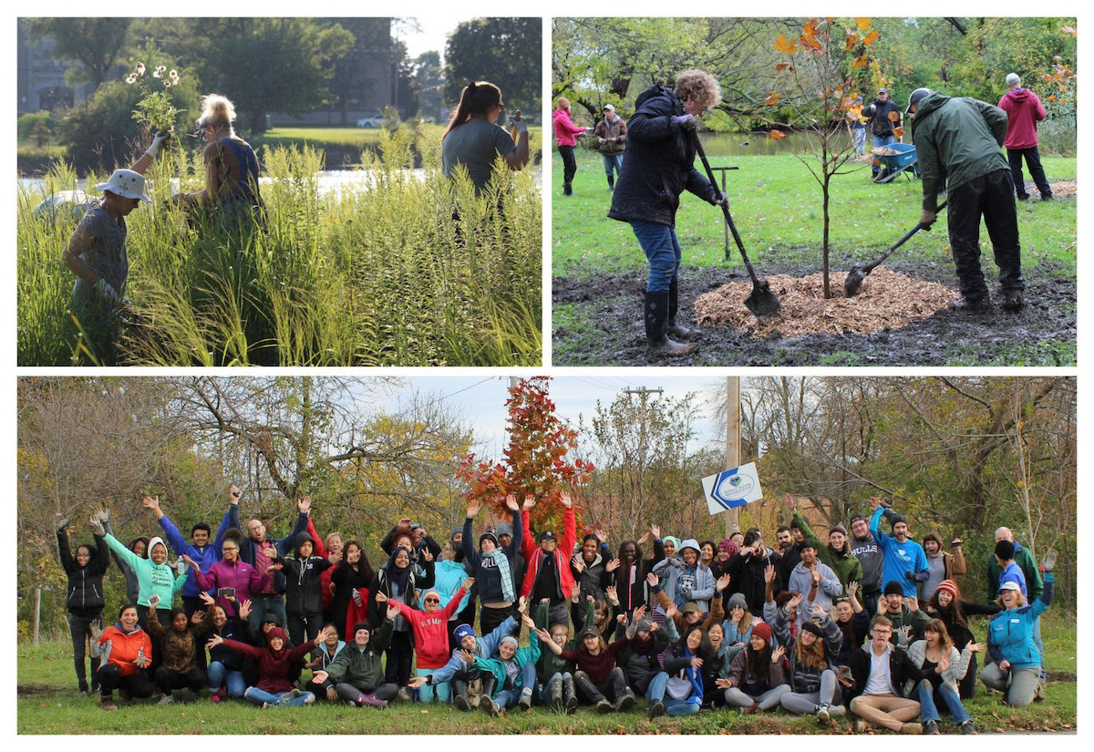 RestoreCorps Ellicott Creek Tree and Shrub Planting Event October 29 2022