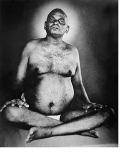 Nityananda rose out of his tomb to speak with Rudi, he claims.