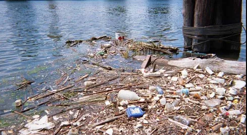 Riverkeeper hosts fundraiser on Sept. 1st for egregiously ‘impaired’ Scajaquada Creek