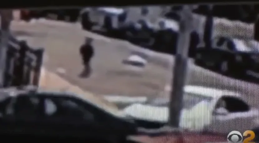 What Was Behind Mother Dropping Six Year Old Off Alone on Streets of NYC?