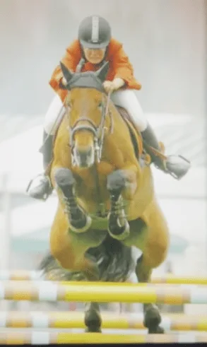 TNT Clare Horseback