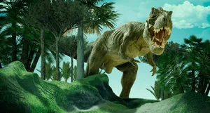 Suneel is one of the last of the dinosaurs who still follow Keith Raniere.