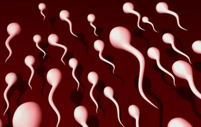Sources: Raniere loosening sex rules for DOS and SOP members – to keep them from leaving?