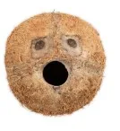 silly mask