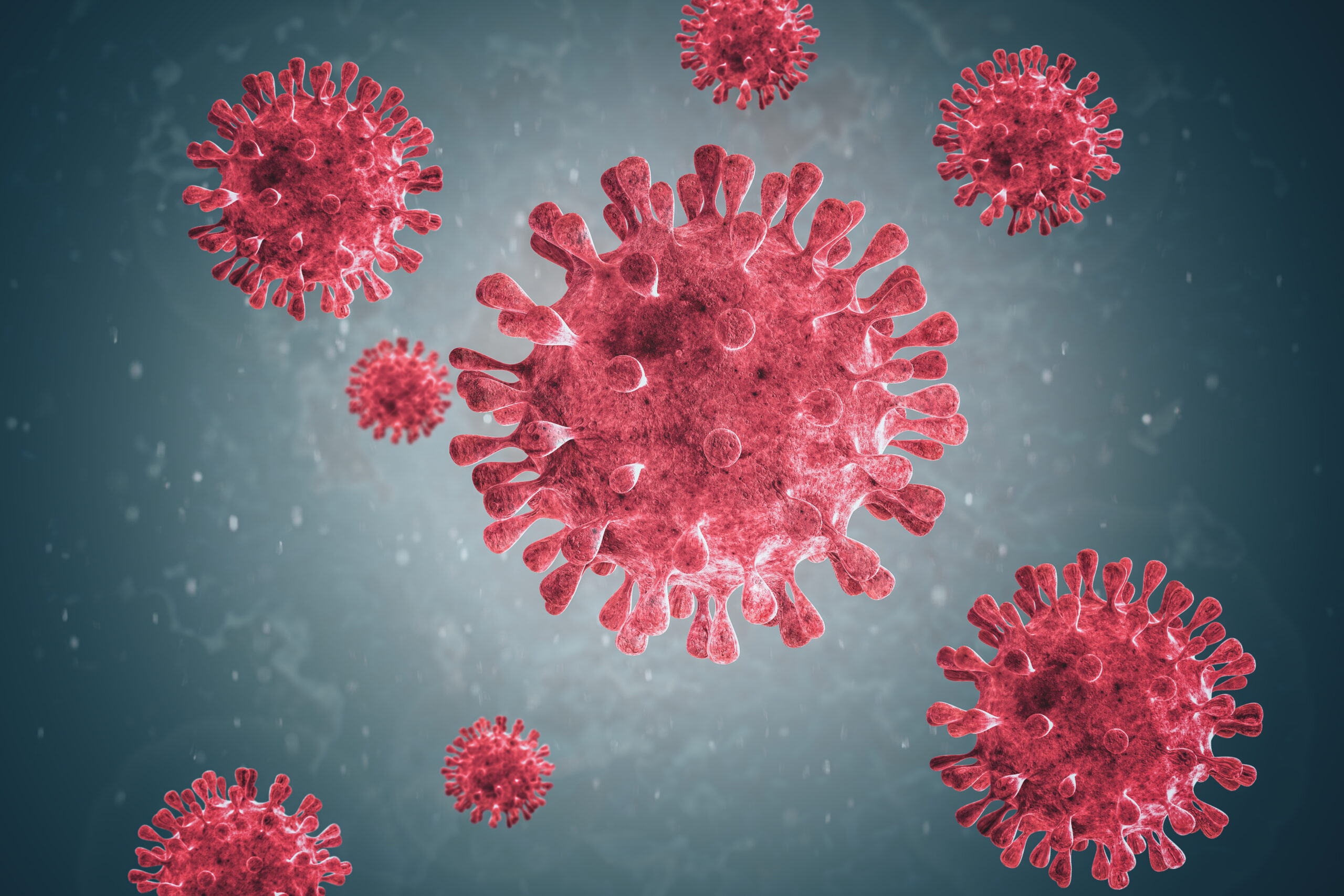 Andes Virus Just Showed Up In Switzerland And Nobody Saw It Coming