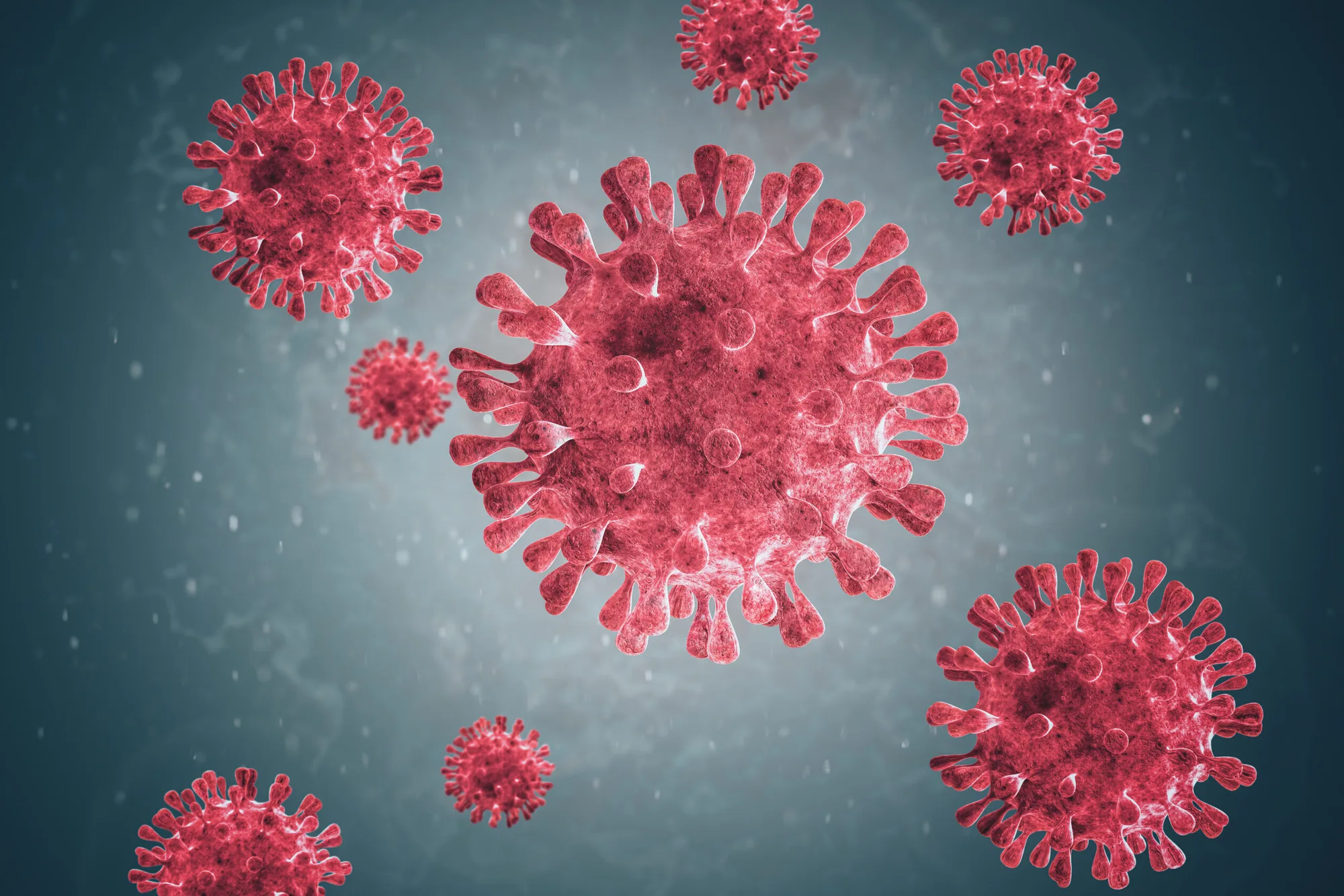 Andes Virus Just Showed Up In Switzerland And Nobody Saw It Coming